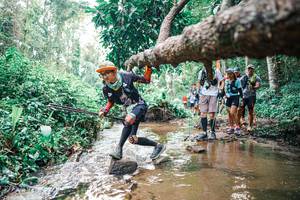 BIB: 
                            <button type="button" onclick="openModal(25374244)" class="btn btn-primary btn-sm float-right btn-popup" data-toggle="modal" data-target=".modal-high-quality">
                        <i class="fas fa-shopping-cart"></i> Add to Cart
                    </button>
                                            <button type="button" onclick="isThisMe(25374244, true)" class="btn btn-success btn-sm float-right btn-popup btn-isme hidden" data-toggle="tooltip" data-placement="bottom" title="นี่คือรูปของคุณใช่ไหม คลิกที่นี่เพื่อเอาเข้าอัลบั้ม">
                        <i class="fas fa-plus"></i> Add to album
                    </button>
                    <button type="button" onclick="isThisMe(25374244, false)" class="btn btn-warning btn-sm float-right btn-popup btn-isnotme hidden">
                        <i class="fas fa-ban"></i> Remove from album
                    </button>